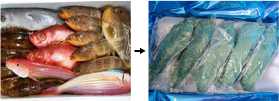 An example of fresh fish packaging