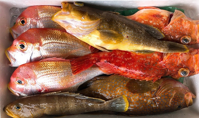Fresh fish box Fresh fish box (prepped) For Restaurants and Hotels